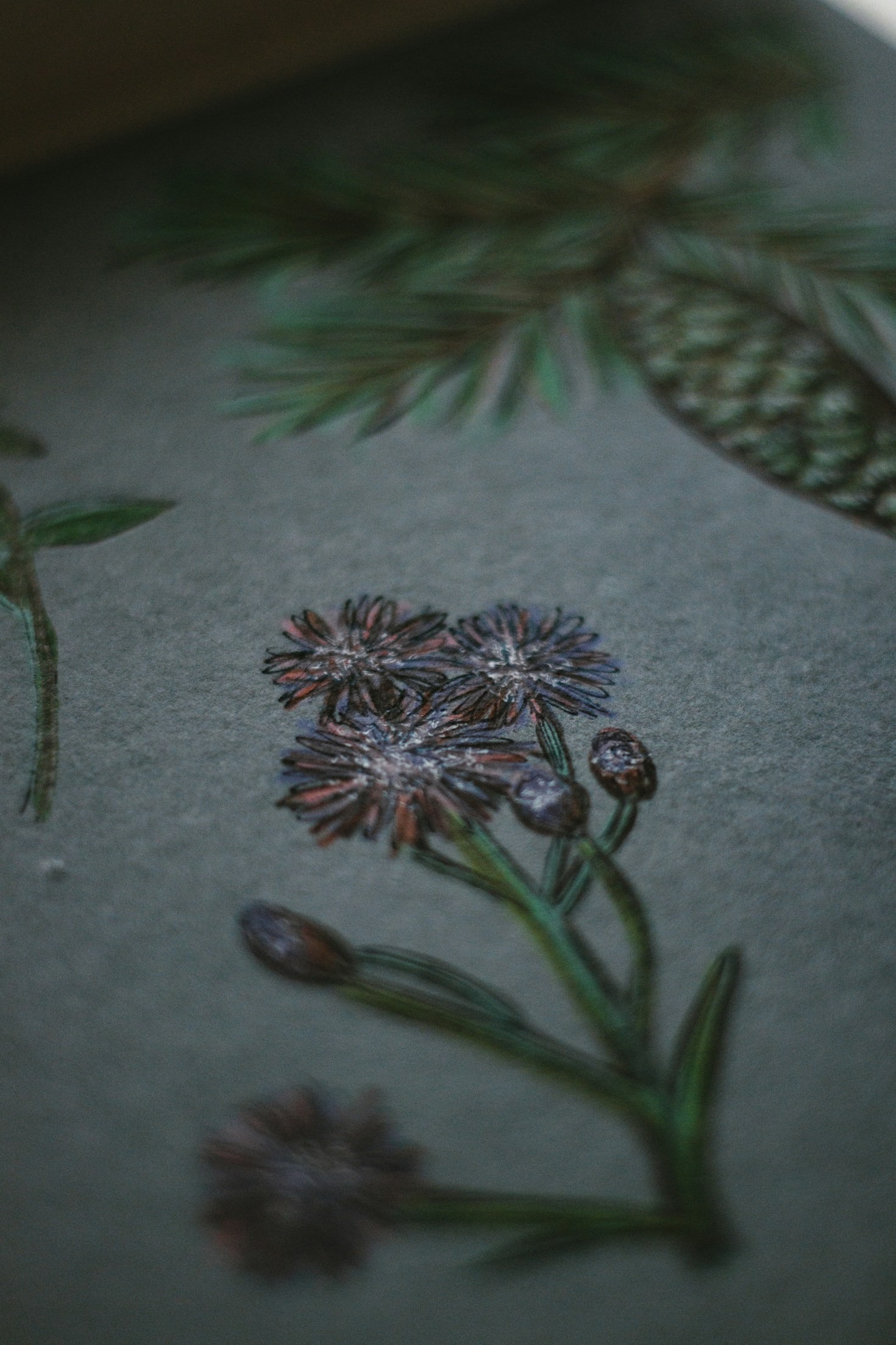 The Forgotten Art Of Herbal Infusions